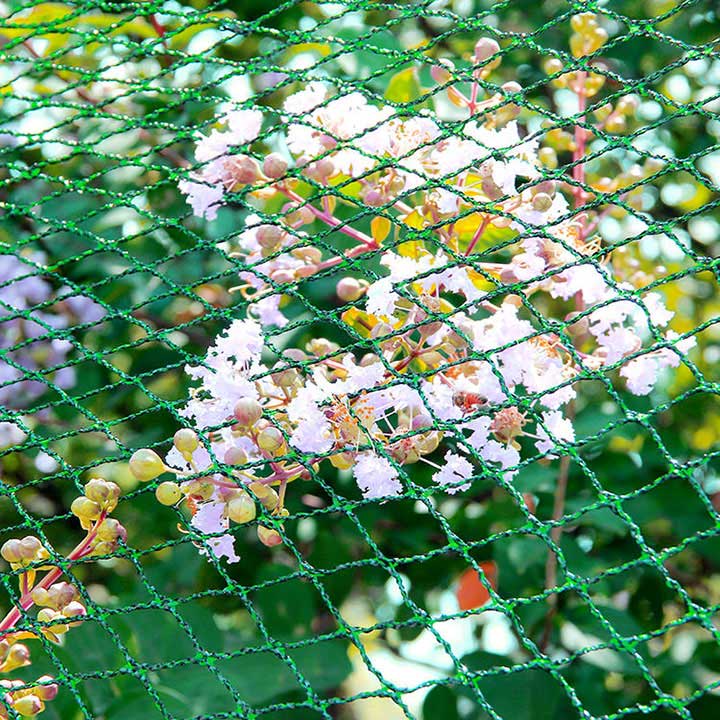 防鳥ネット 園芸植物ネット